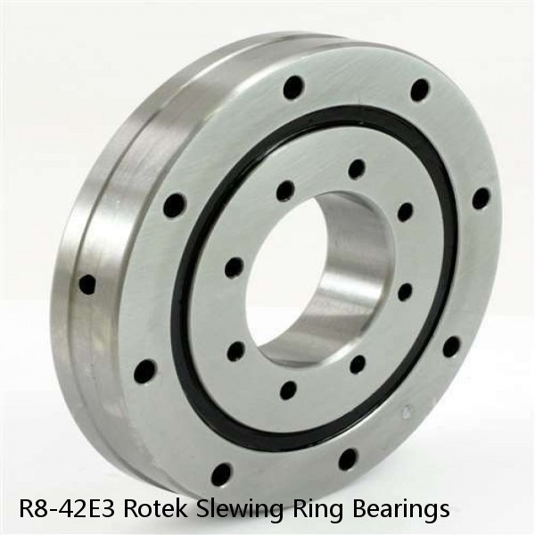 R8-42E3 Rotek Slewing Ring Bearings