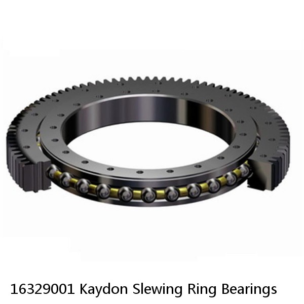 16329001 Kaydon Slewing Ring Bearings #1 small image