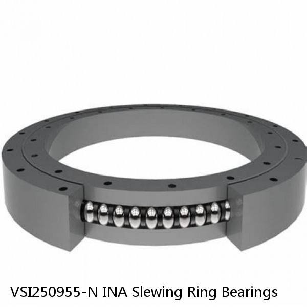 VSI250955-N INA Slewing Ring Bearings #1 small image