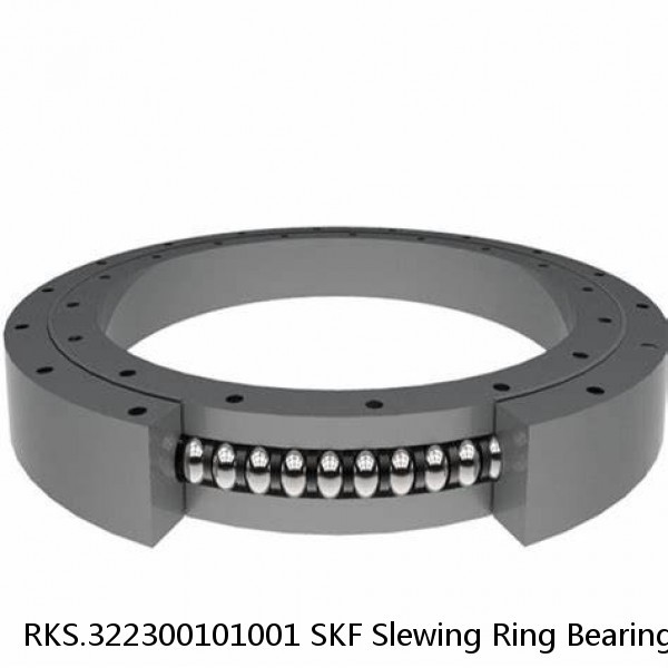 RKS.322300101001 SKF Slewing Ring Bearings #1 small image