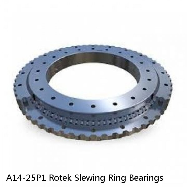 A14-25P1 Rotek Slewing Ring Bearings