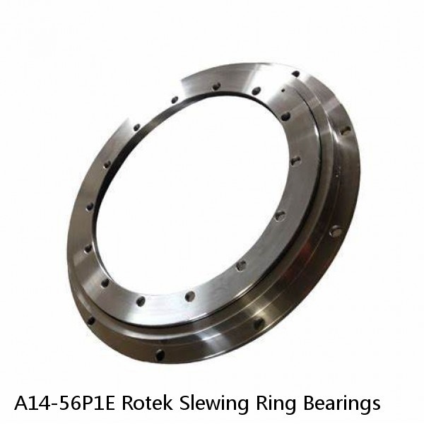 A14-56P1E Rotek Slewing Ring Bearings #1 small image