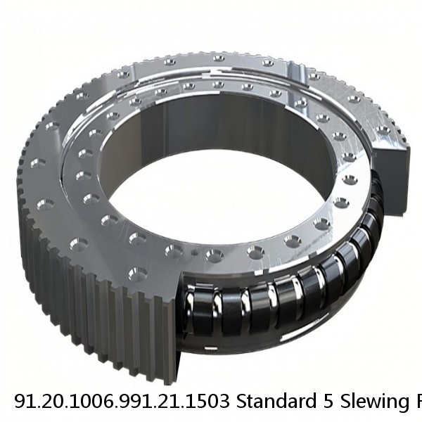 91.20.1006.991.21.1503 Standard 5 Slewing Ring Bearings #1 small image