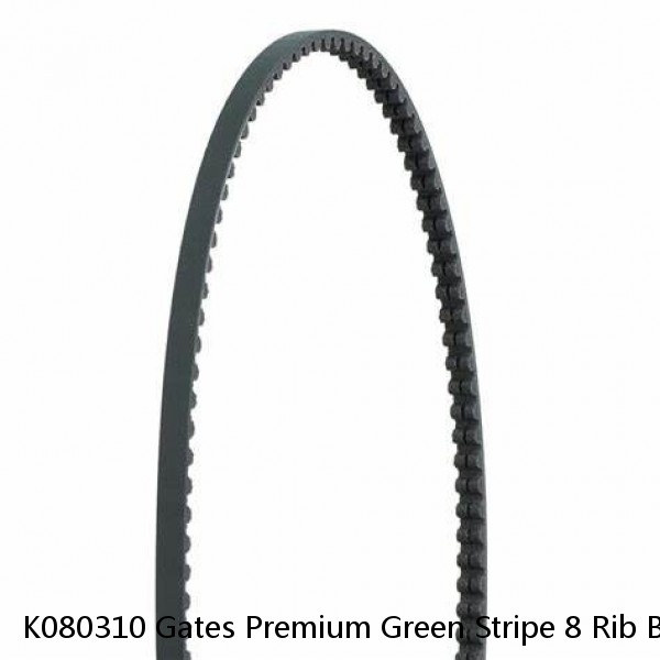 K080310 Gates Premium Green Stripe 8 Rib Belt 31 5/8" Long CVF Racing Special #1 small image