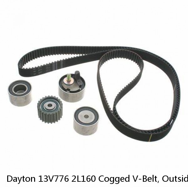 Dayton 13V776 2L160 Cogged V-Belt, Outside Length 16"