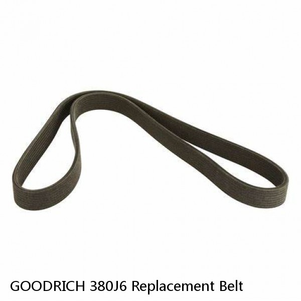 GOODRICH 380J6 Replacement Belt #1 small image