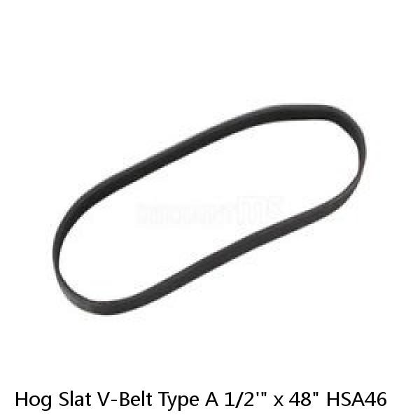 Hog Slat V-Belt Type A 1/2'" x 48" HSA46  #1 small image
