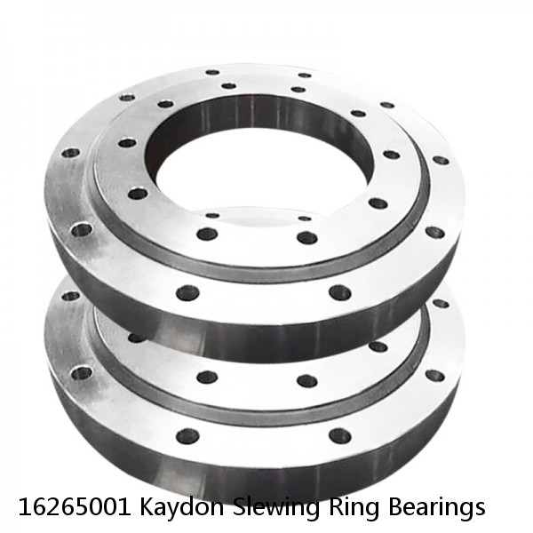 16265001 Kaydon Slewing Ring Bearings #1 image