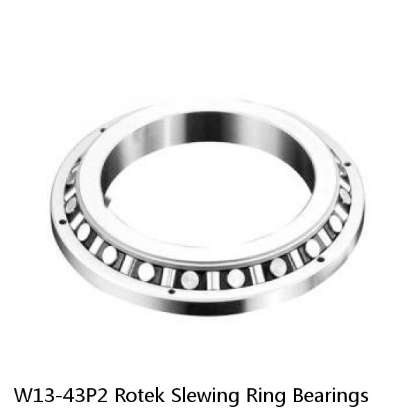 W13-43P2 Rotek Slewing Ring Bearings #1 image