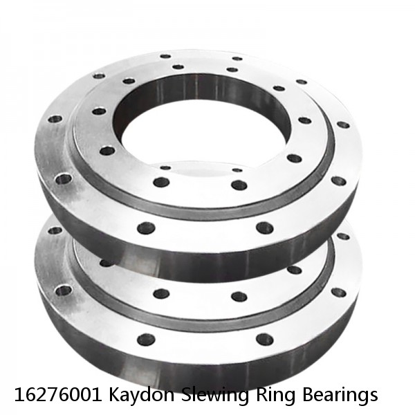 16276001 Kaydon Slewing Ring Bearings #1 image