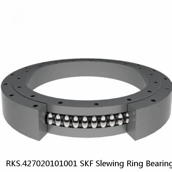 RKS.427020101001 SKF Slewing Ring Bearings #1 image