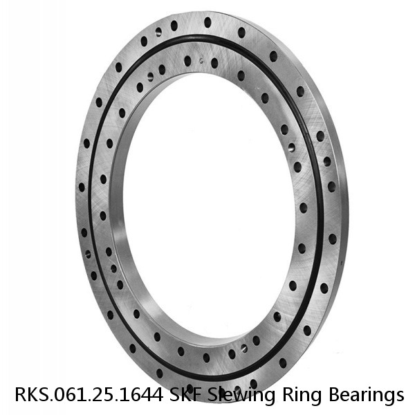 RKS.061.25.1644 SKF Slewing Ring Bearings #1 image