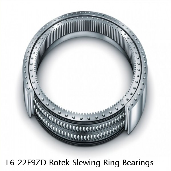 L6-22E9ZD Rotek Slewing Ring Bearings #1 image