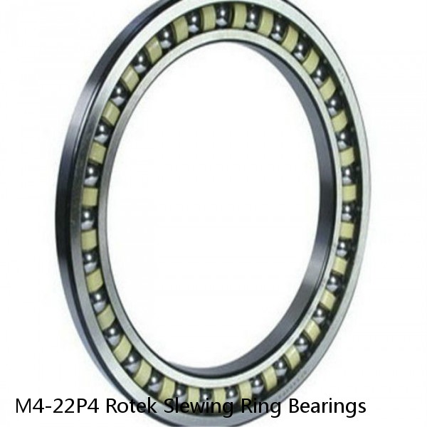 M4-22P4 Rotek Slewing Ring Bearings #1 image