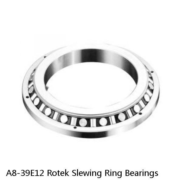 A8-39E12 Rotek Slewing Ring Bearings #1 image