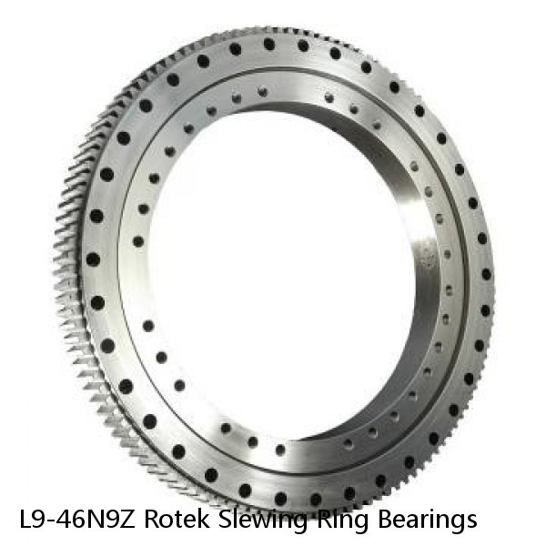 L9-46N9Z Rotek Slewing Ring Bearings #1 image