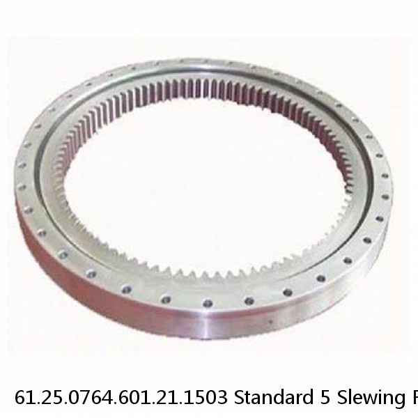 61.25.0764.601.21.1503 Standard 5 Slewing Ring Bearings #1 image