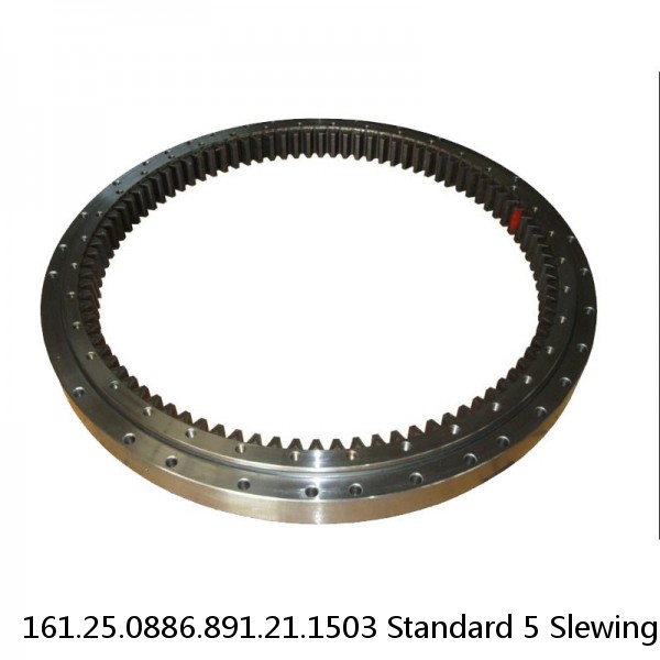 161.25.0886.891.21.1503 Standard 5 Slewing Ring Bearings #1 image