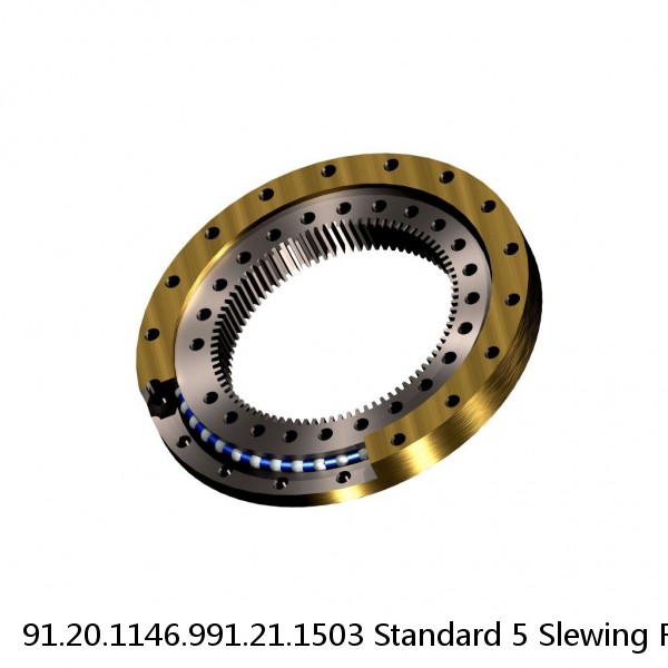 91.20.1146.991.21.1503 Standard 5 Slewing Ring Bearings #1 image