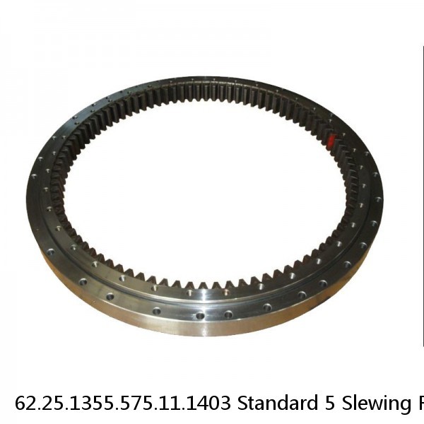 62.25.1355.575.11.1403 Standard 5 Slewing Ring Bearings #1 image