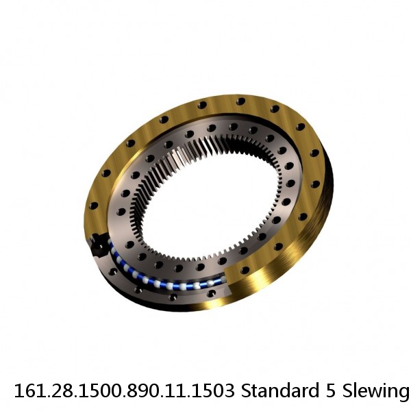 161.28.1500.890.11.1503 Standard 5 Slewing Ring Bearings #1 image