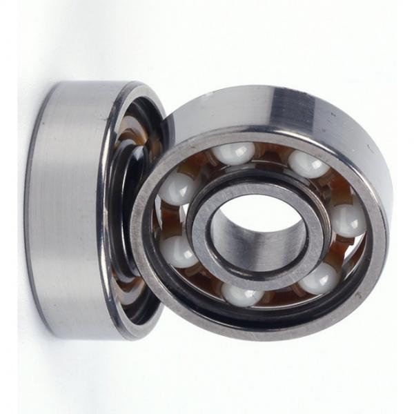 Hybrid Ceramic Stainless Steel Ball Bearing (608 6000 6001 6006 2RS) #1 image
