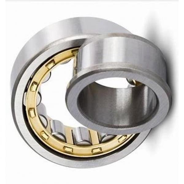 High Precision High Stability Low Noise Japan Ball Bearing 6206 ZZ Nsk Bearing #1 image